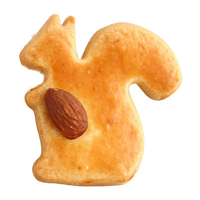秋の季節のお菓子箱 / 「ル・プティ・ボワ」
