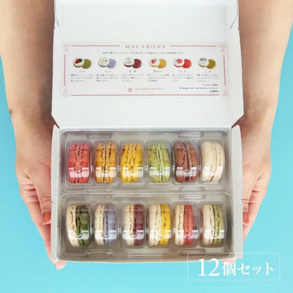日本の夏マカロン （冷凍）